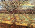 Albaricoqueros en flor Vincent van Gogh